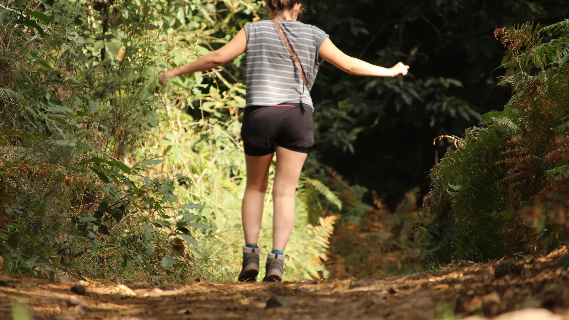 Forêt et landiers