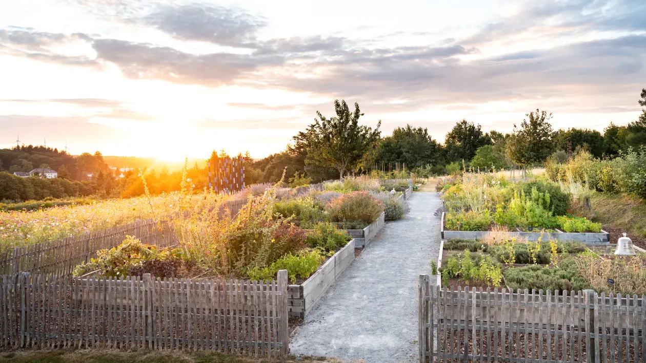 JARDIN POTAGER