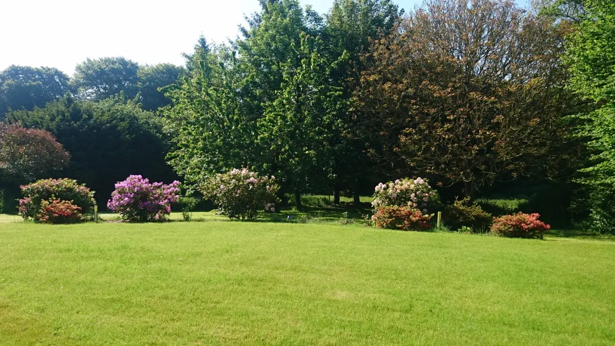 Jardin