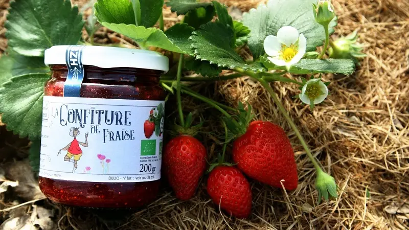 Jardin-Jardine-paysan cuisinier-Confiture de Fraise Bio_Morbihan 56