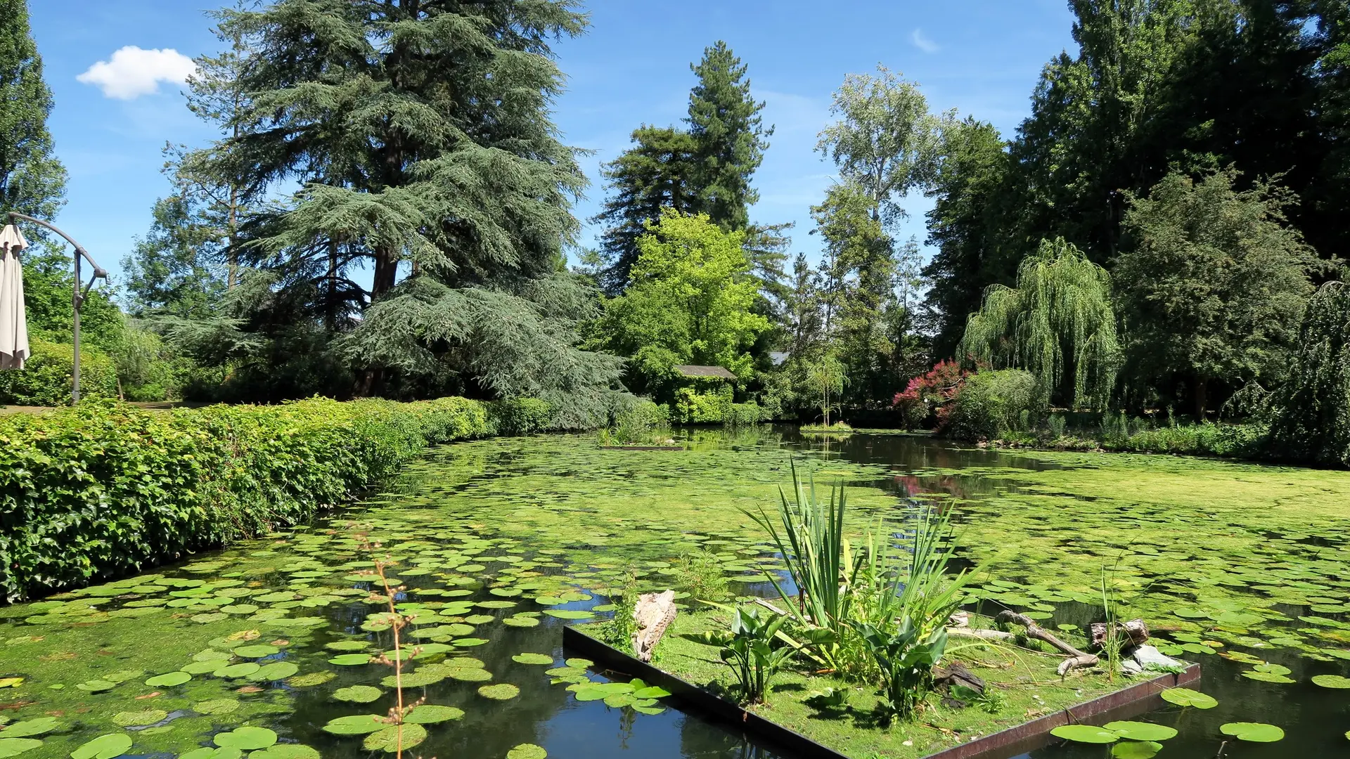 Jardin des Arts 2022 copyright Ville Châteaubourg 5