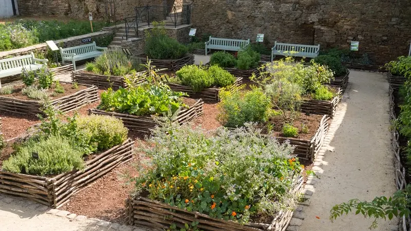 Jardin médiéval - Josselin - Morbihan - Bretagne