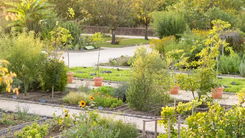 JardinBotanique3