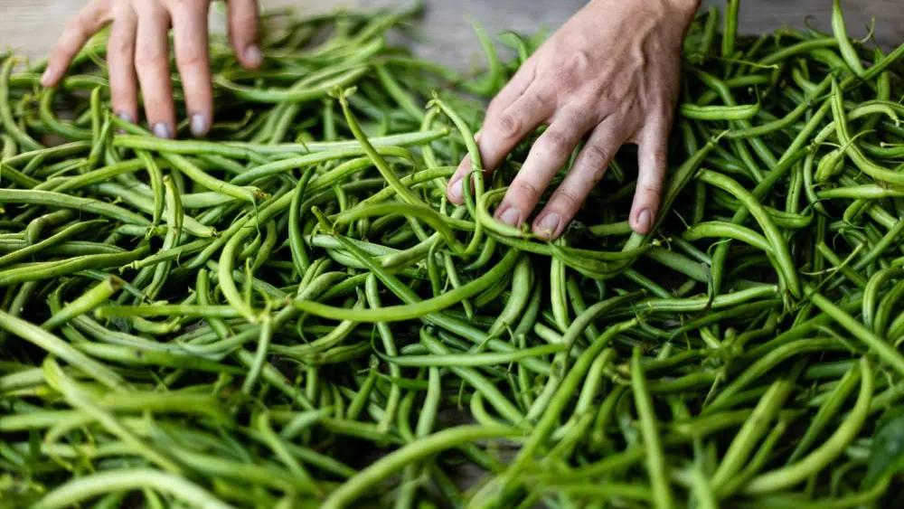 Jardins_de_la_Matz_-_Julien_Mota_-91