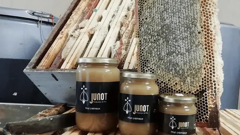 Junot