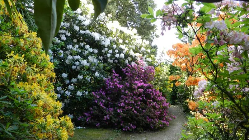 L'Orangerie de Lanniron