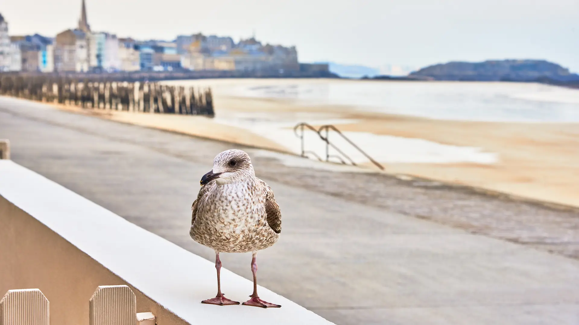 Hôtel - Le Beaufort - Saint-Malo
