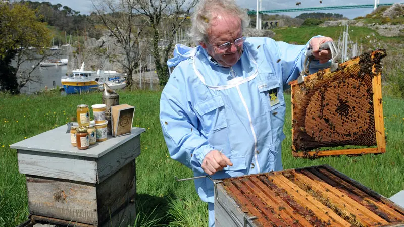 la Maison de l'Abeille