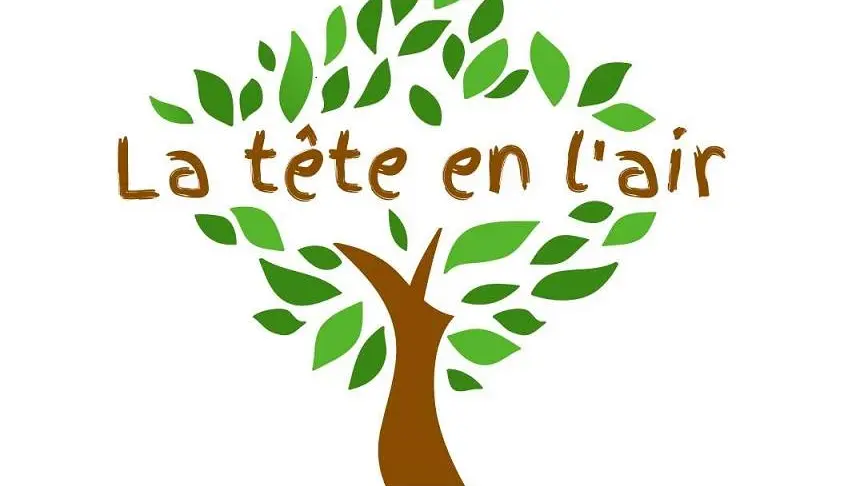 La tête en l'air_Cote d'Emeraude_Grimpe d'arbres_tous publics dont handicap_événements privés_collectivités_individuels