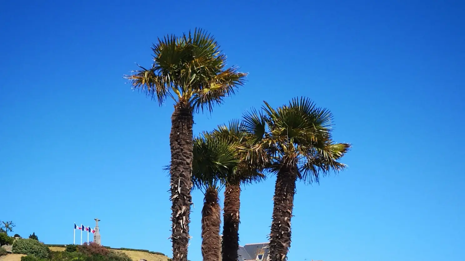 Location - Le Doris - Maison du Terre-Neuvas - Cancale