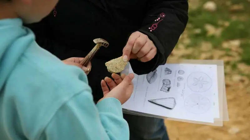 La Maison des Faluns