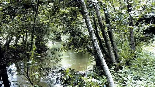 La Vallée du Couesnon