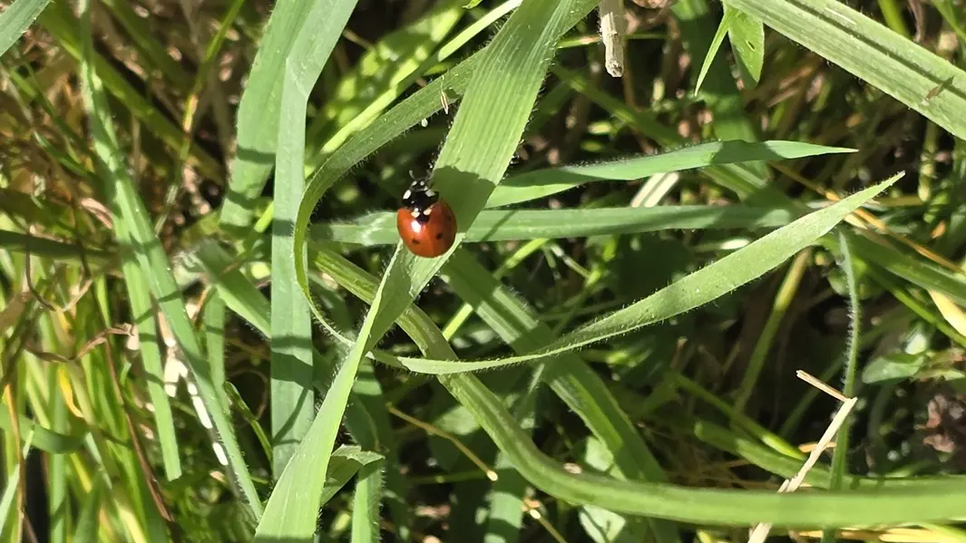 La ferme Solidor St Malo