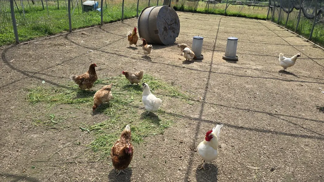 La ferme Solidor St Malo