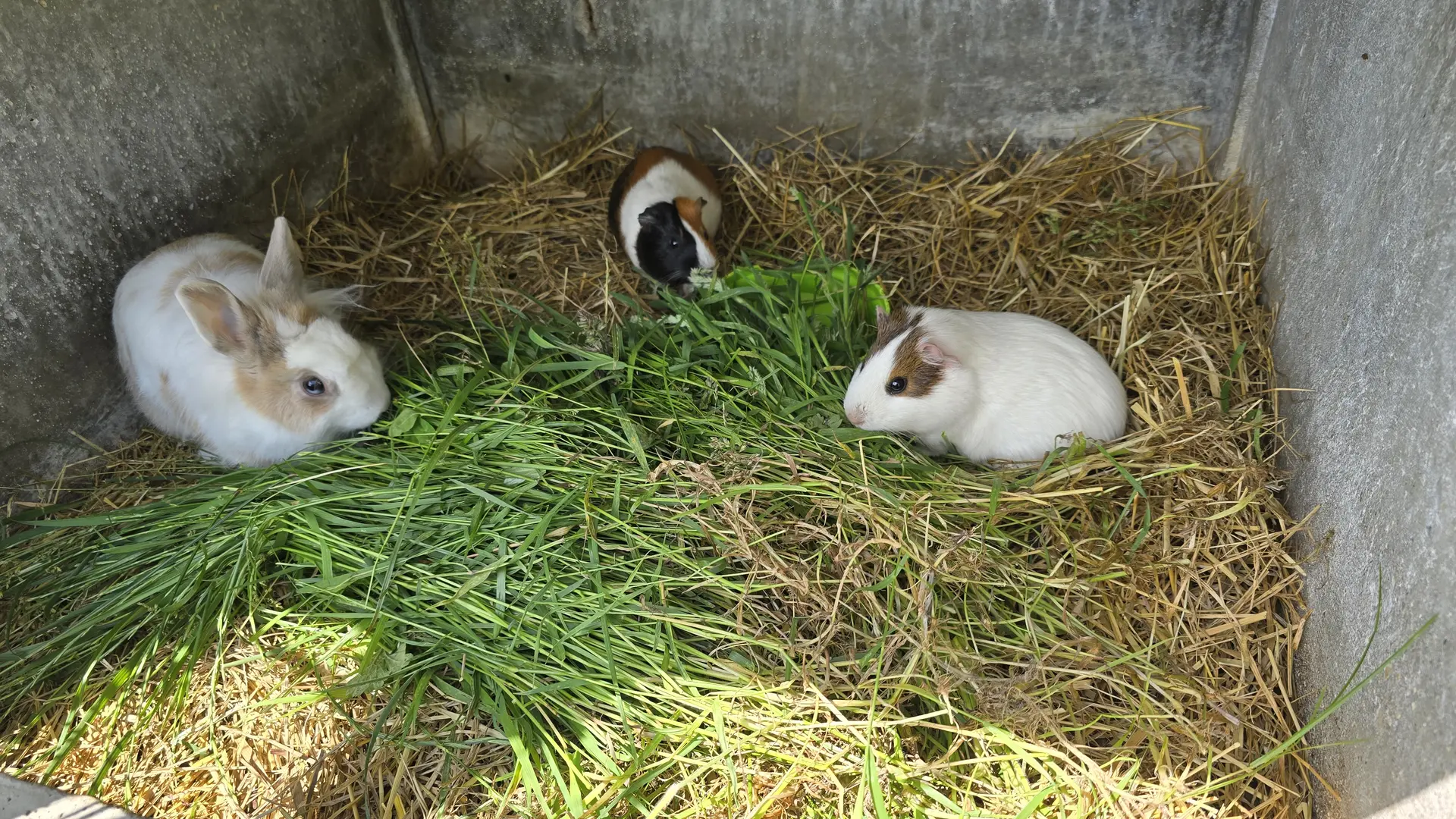 La ferme Solidor St Malo