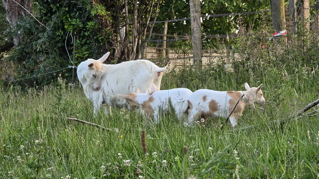 La ferme Solidor St Malo