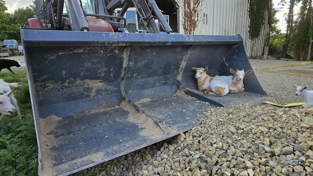 La ferme Solidor St Malo