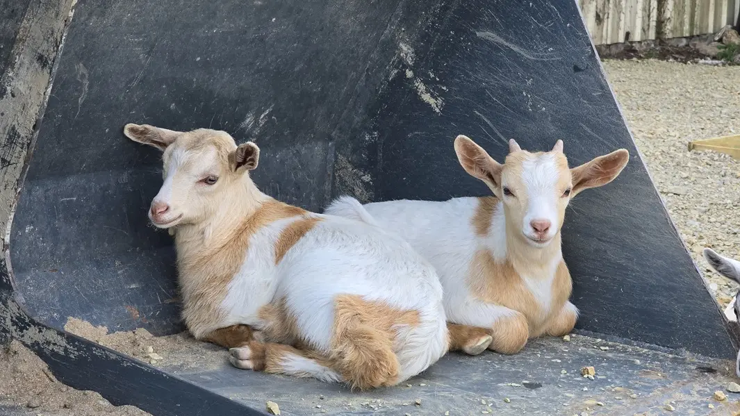 La ferme Solidor St Malo