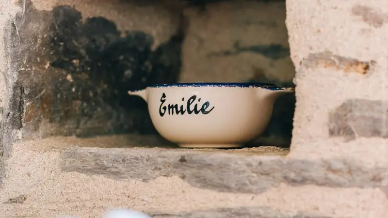 Le Manoir de la Perdrilais - la maison d'Emilie - Pipriac