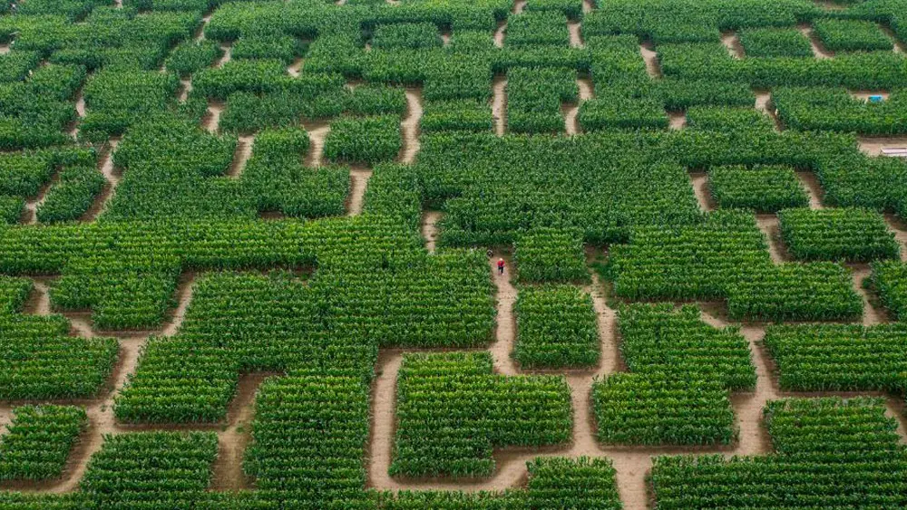 Pop Corn Labyrinthe Guérande