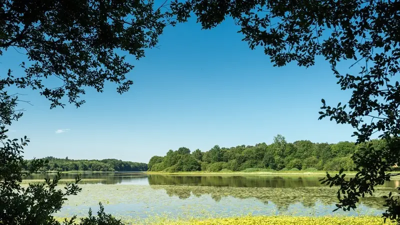 Lac au Duc