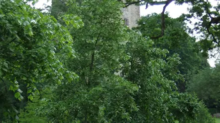 Le Parc de la Tour du Guesclin