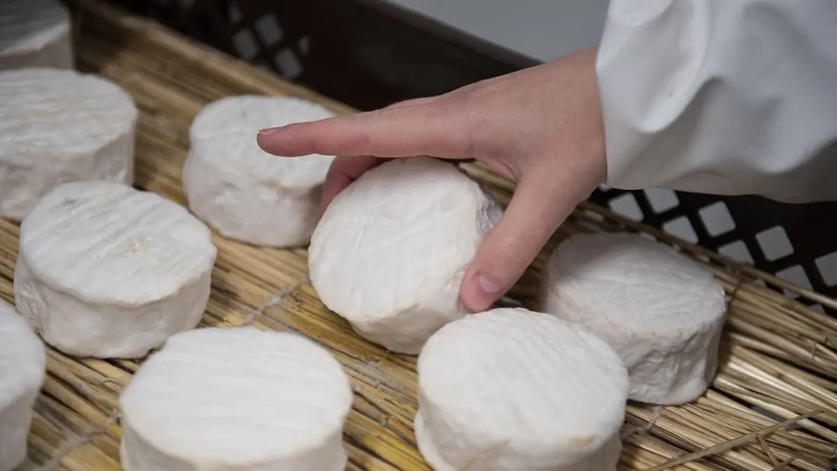 Fromages de nos terroirs_Pontivy