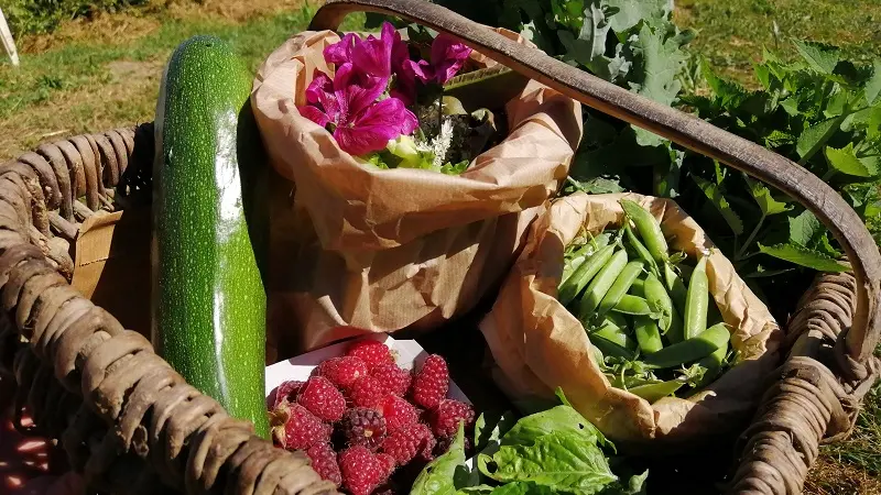 Le Ruisseau coopérative  - Epiniac