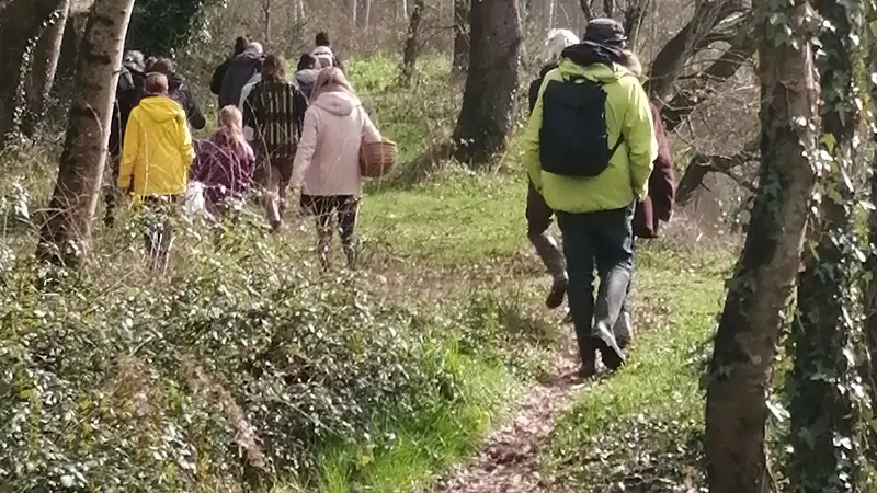 e Ruisseau coopérative  - Epiniac