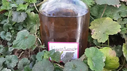 Le goût sauvage