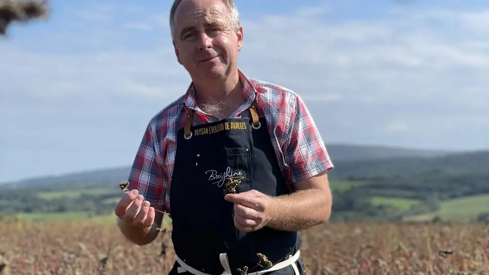 L'impératrice by Breizhine