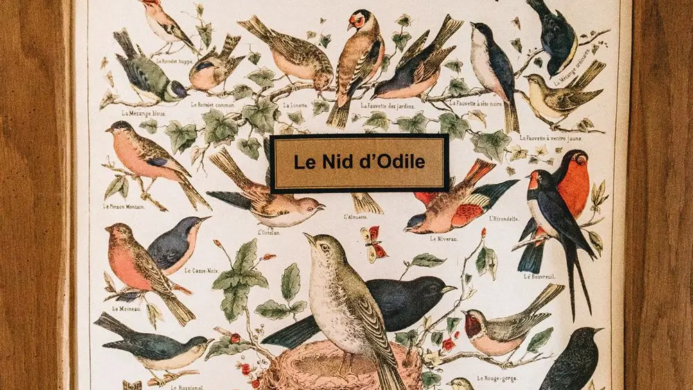 Gîte de la Perdrilais - Le Nid d'Odile