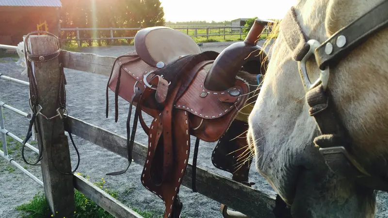 Les Crinières de la Baie