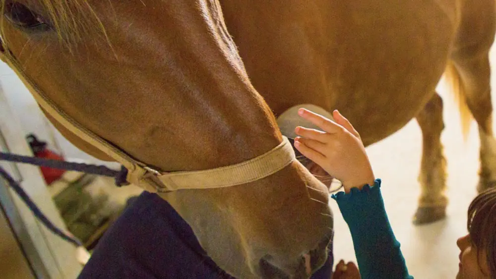 Les Jardins de l'Eveil