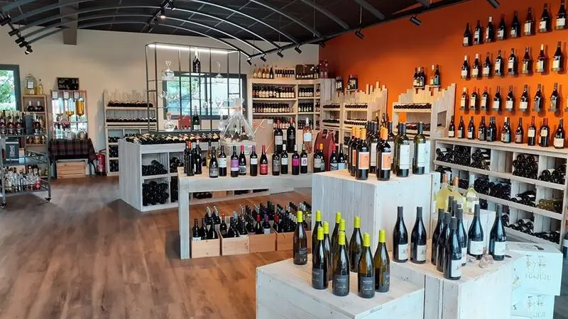 Les couleurs du vignoble