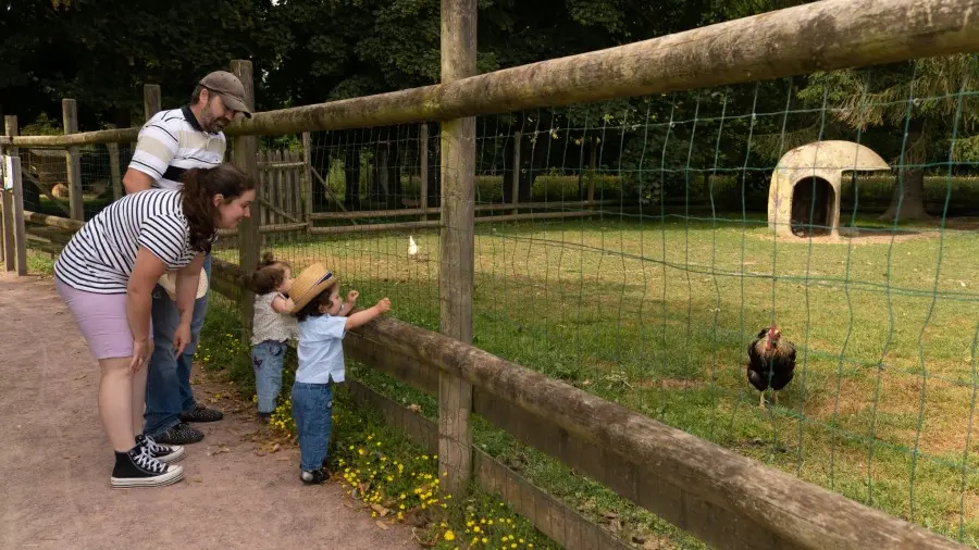 Little Parc - Tremblay - Famille face au poulailler