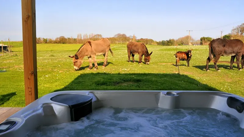 Location - Les Minquiers- Saint-Malo