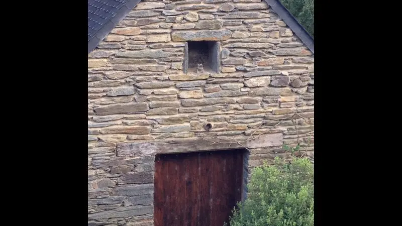Location de vacances les Palis - Sérent - Morbihan - Bretagne