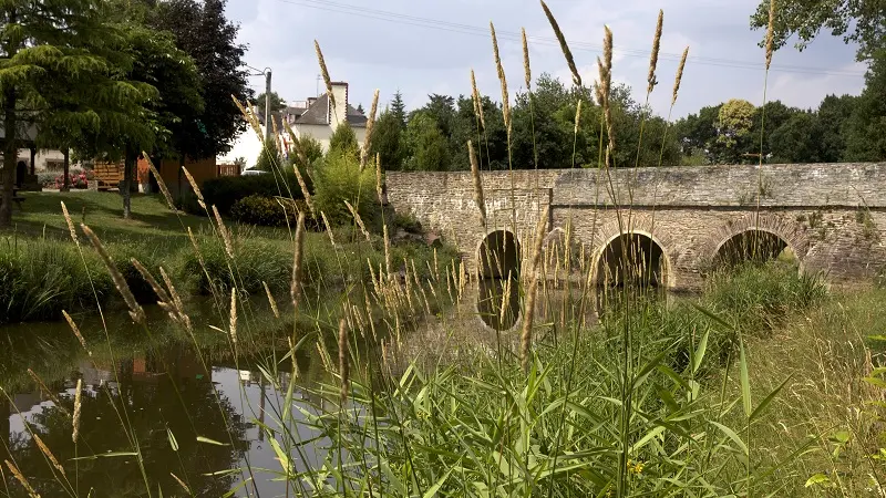 Camping Merlin L'enchanteur - Loyat - Brocéliande