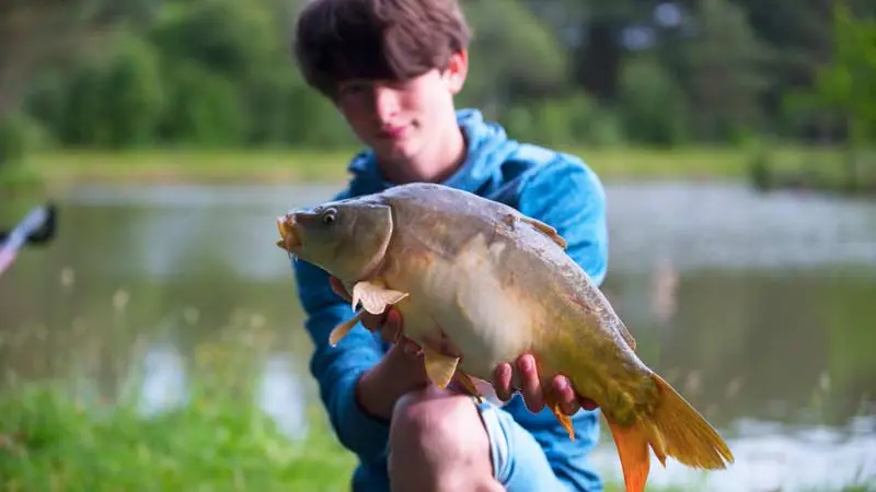 Maison Pêche et Nature des Côtes d'Armor