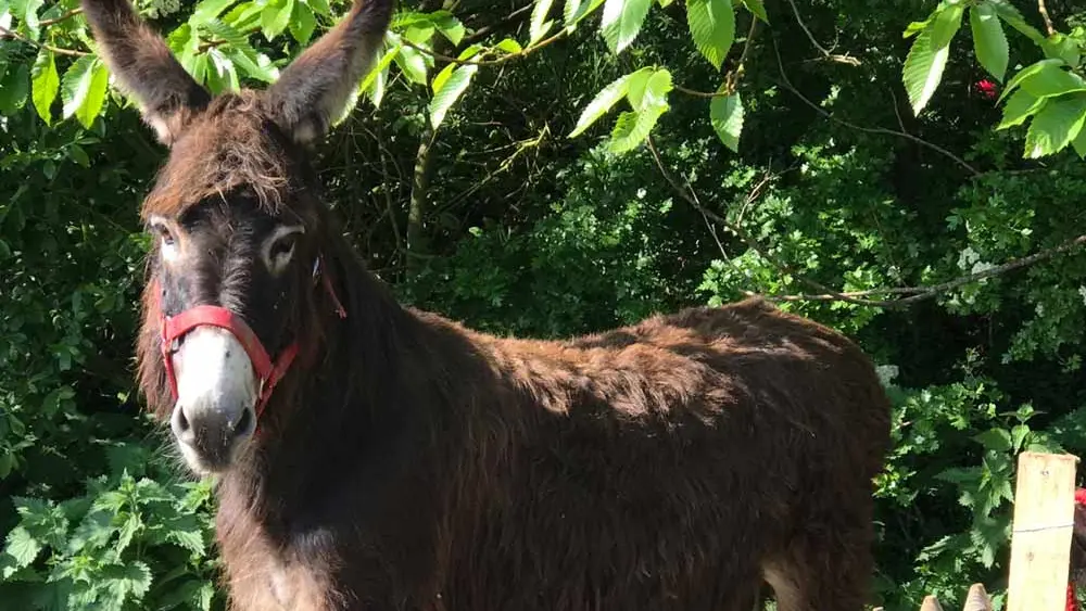 Manoir des Petites Bretonnes