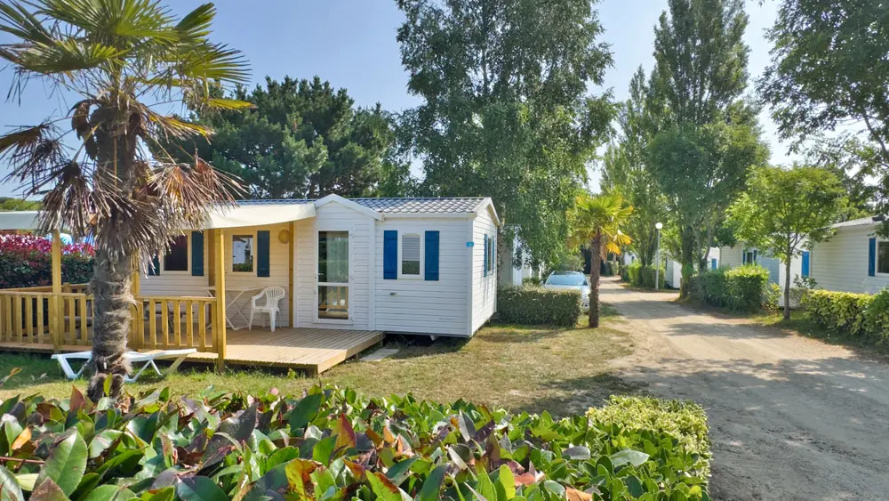 Camping Paradis Les Palmiers