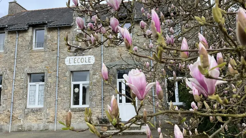 Salon de thé - Maison Ojigi - Trégranteur - Guégon - Morbihan