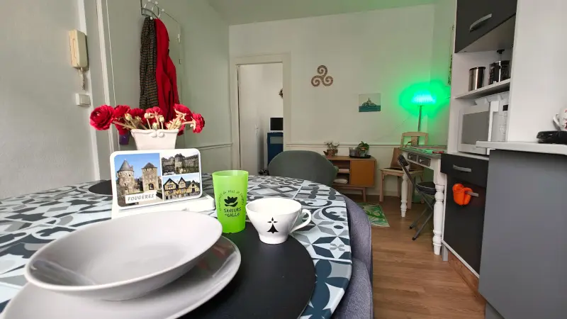 Meublé du Pays Gallo 800x600 (11)