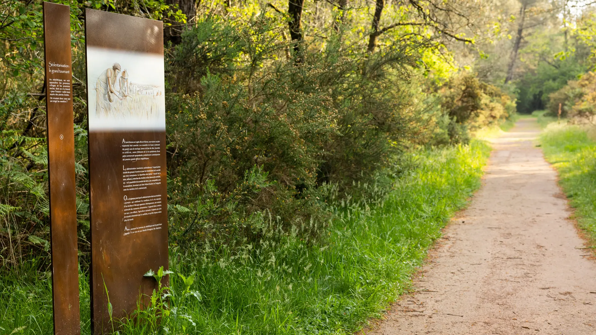 Menhirs de Monteneuf
