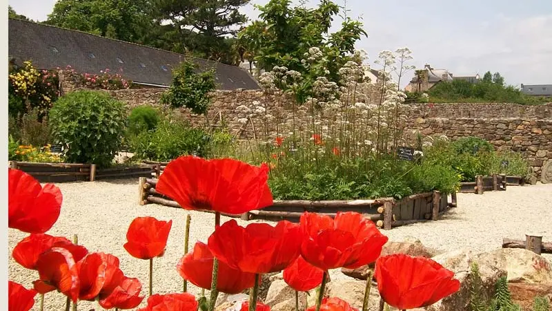 Musée de l’ancienne abbaye de Landévennec