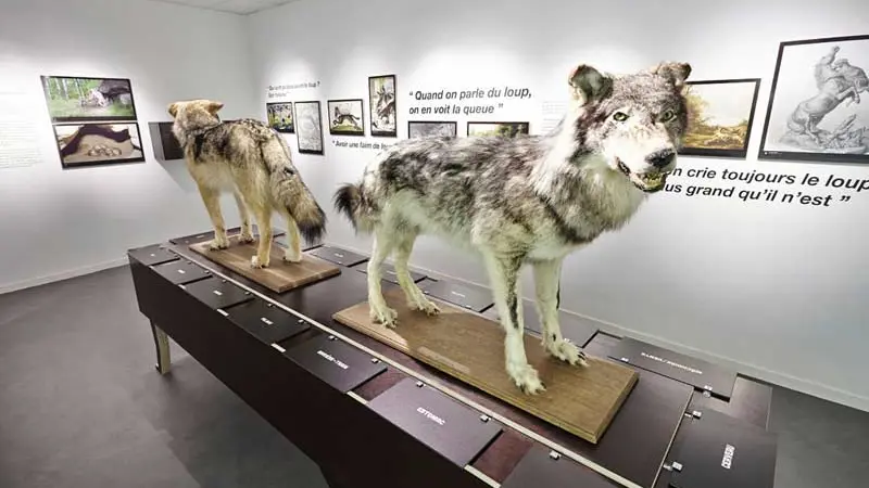 Musée du Loup