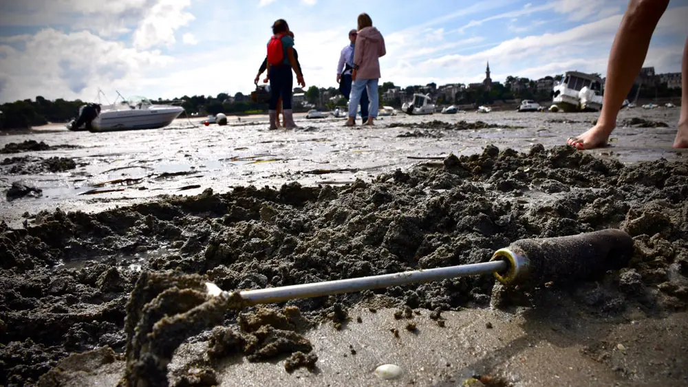 Atelier Retour de Pêche
