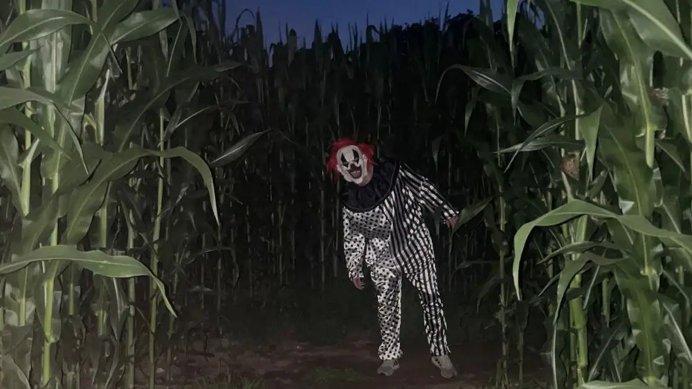 Nuit de l'horreur - Pop Corn Labyrinthe Sarzeau