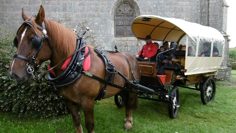 Balade en calèche